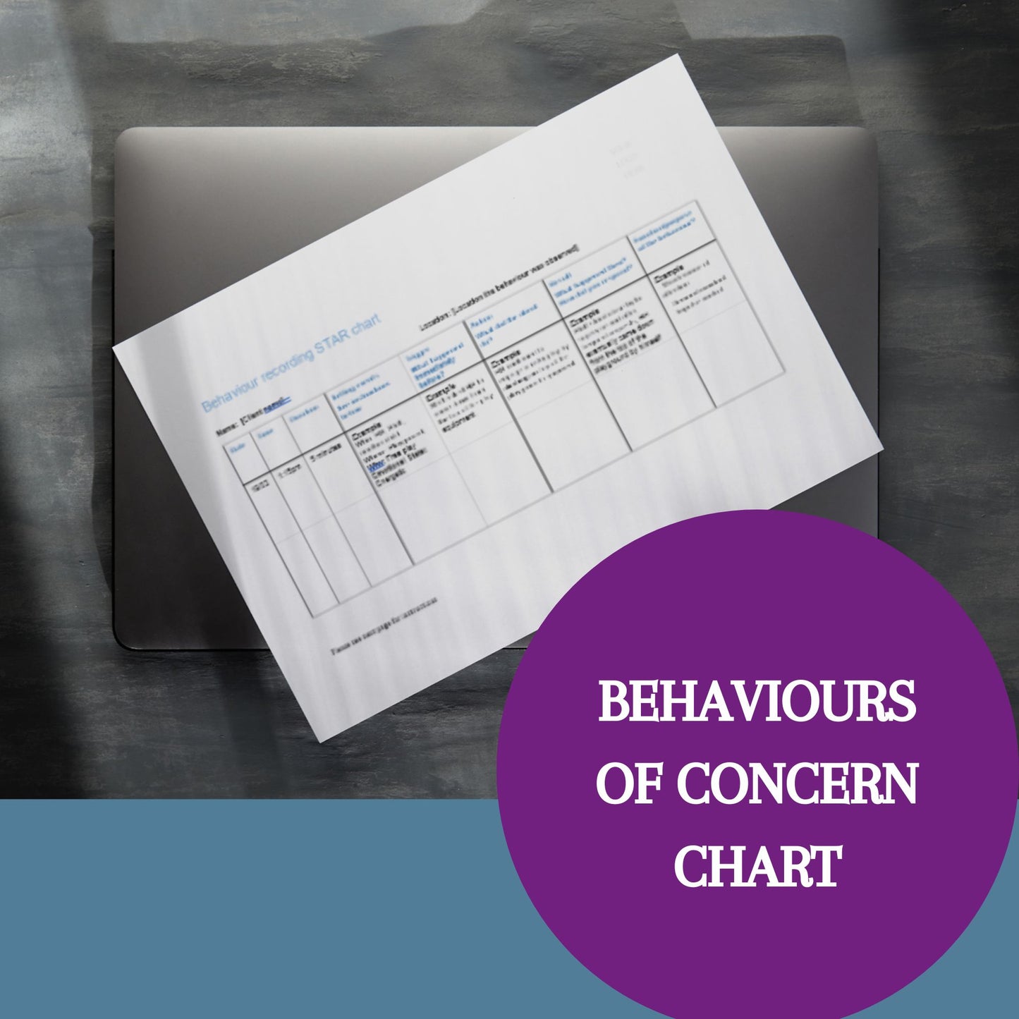 Behaviours of concern (Star Chart) Template