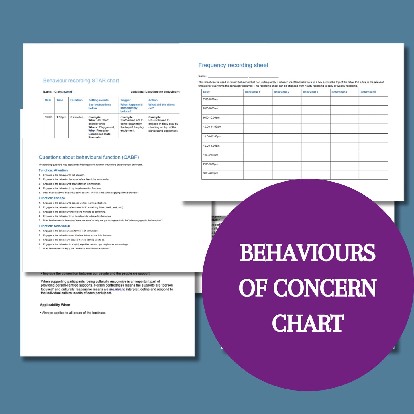 Behaviours of concern (Star Chart) Template